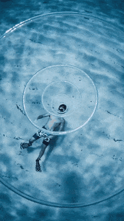 GIFs-1
