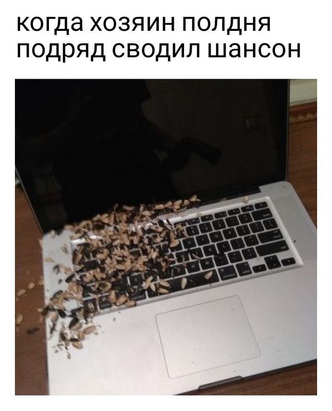 5Vy5R8J3lUo