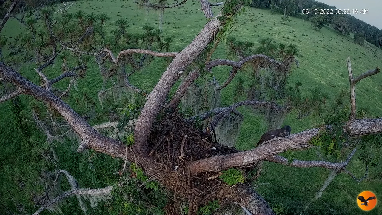 EC 4K Overhead Cam 7-12-35 screenshot