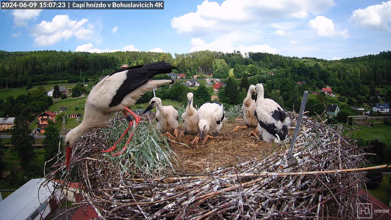 Tiešraidē no uzņēmuma KARA stārķa skursteņa Bohuslavicē pie Trutnovas 15-46-17 screenshot