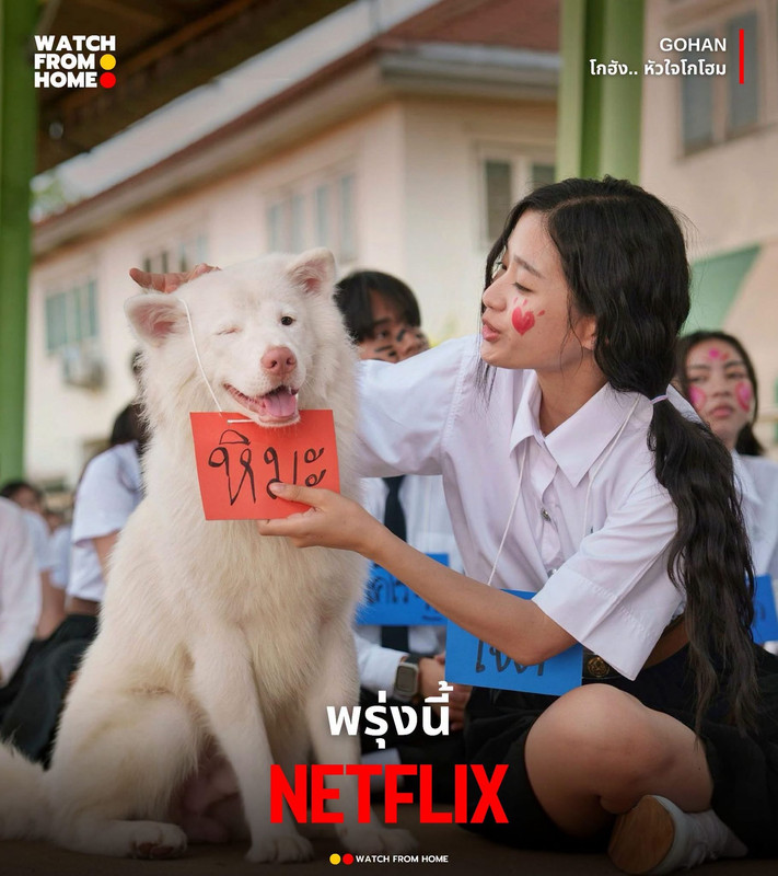 APP ROYAL | แอพพรีเมียมราคาถูก 2025 | Netflix, YouTube Premium banner