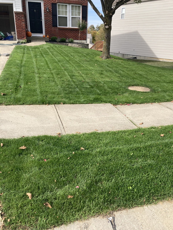 A12FA775-FD4A-4044-803E-391976BD4892