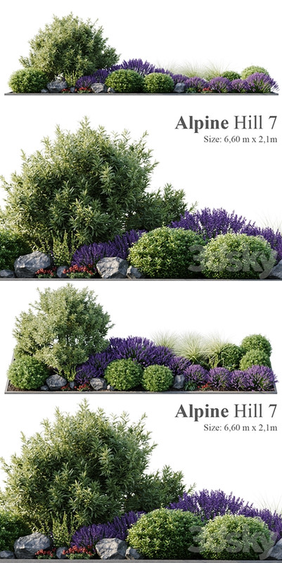 Alpine Hill 7