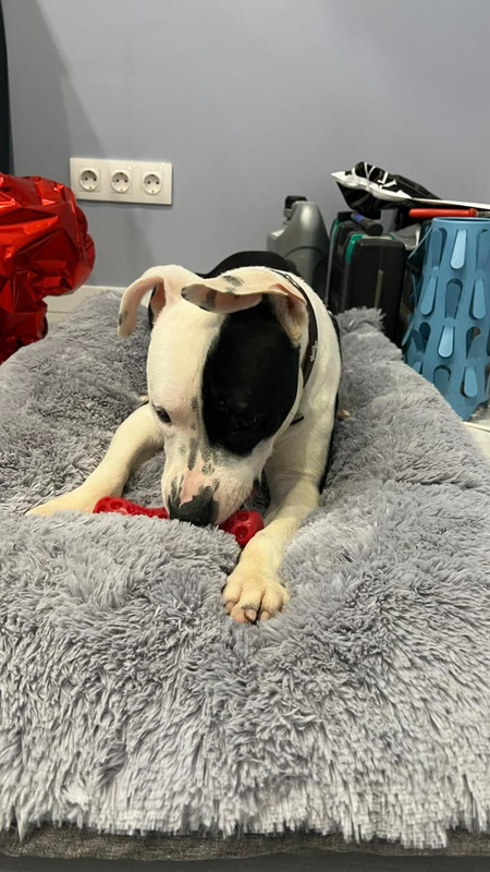 E93E715A-0B3C-46DC-903A-A468ABE114C1