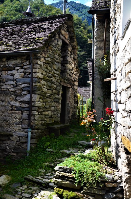 CORIPPO-8-9-2019 - Suiza y sus pueblos-2019 (53)