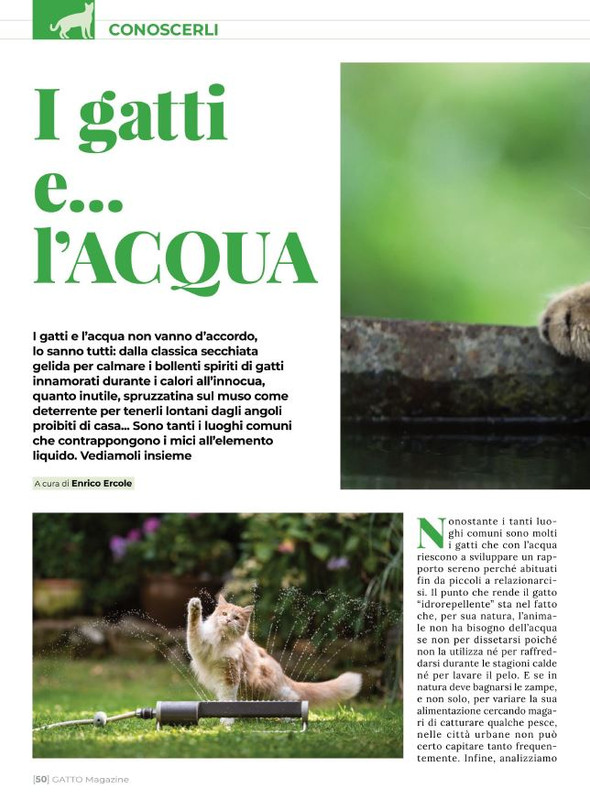 Ga Ma Ago-Set 2022 (9)