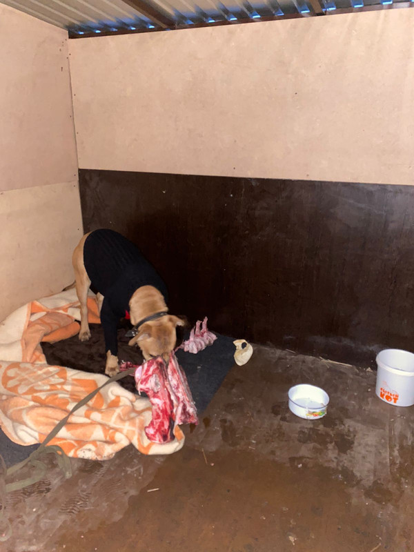 WhatsApp Image 2023-11-23 at 19.43.41 (1)