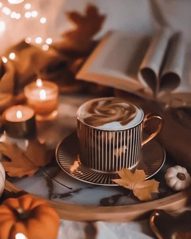 Screenshot_20221227_011455_Chrome