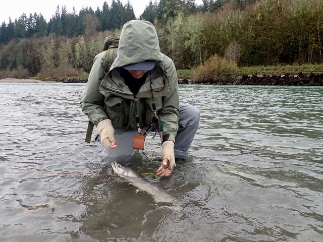 B6BD9ECC-F673-4742-9FEA-4A8E5F9B515C_1_105_c