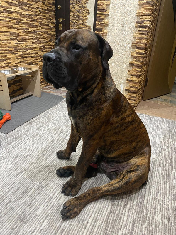 1474883c-389f-4dd1-a974-72a55c3638b7