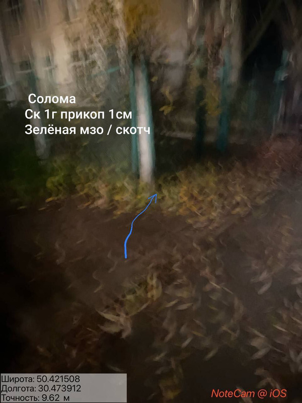 bea5b5d30730192f4dce04c9b08bdd2f6f39