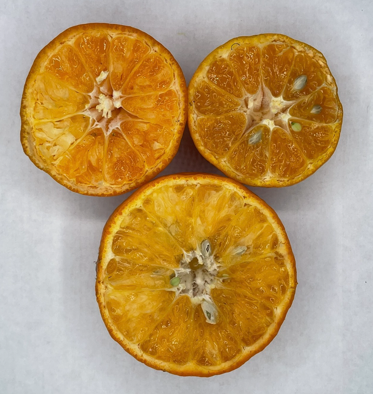 Screen Shot 2026 01 08 at 8 43 14 PM