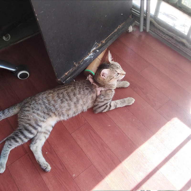 Зимовка 2026, полтора месяца в Колумбии.