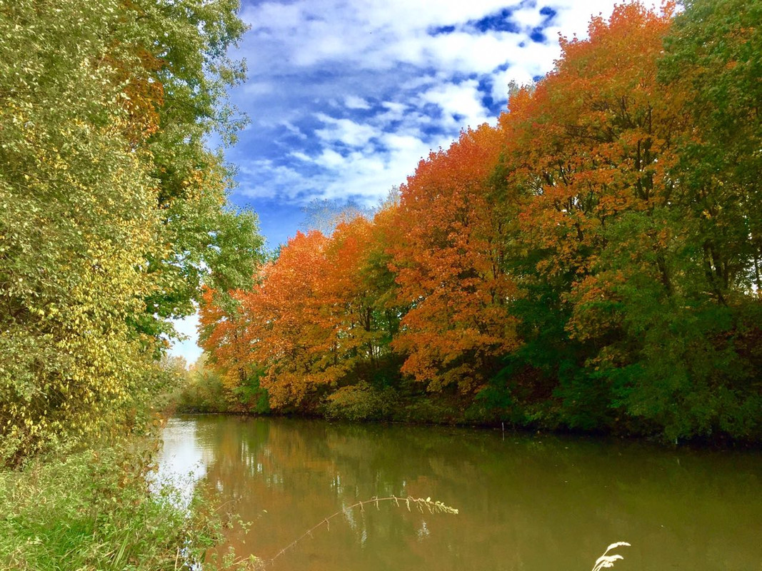 осень клязьма