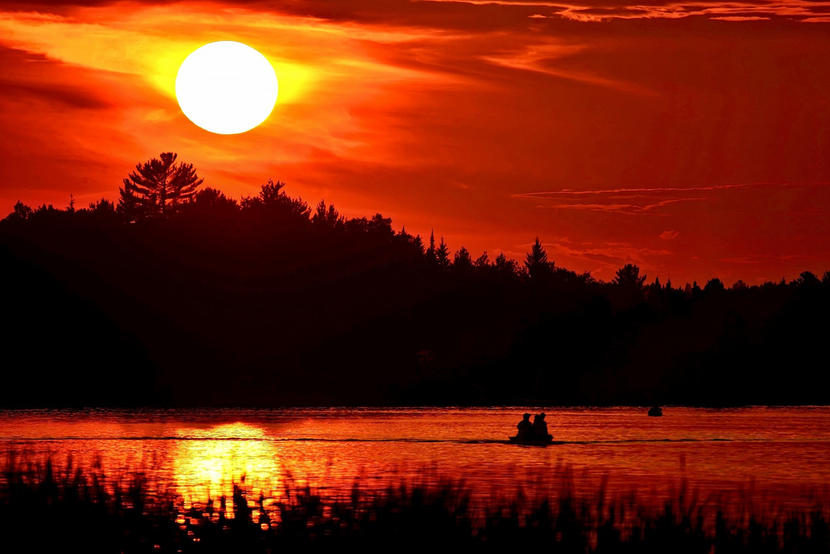 orangenightimesillouette.jpg
