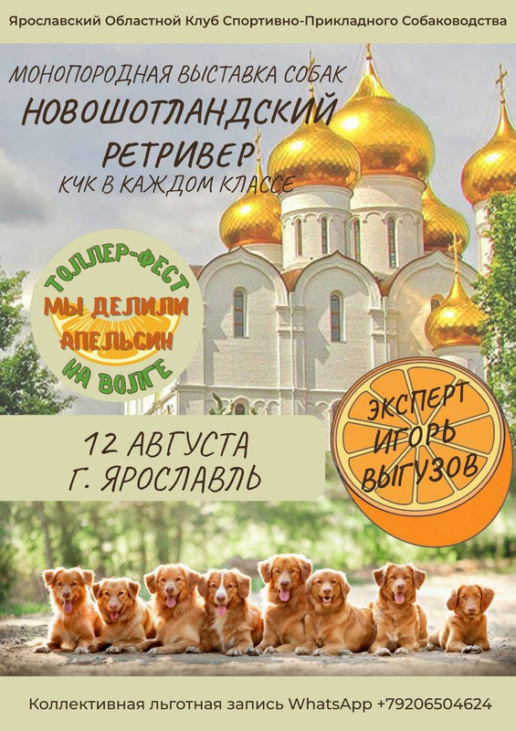 РЕКЛАМА ТОЛЛЕР — Postimages