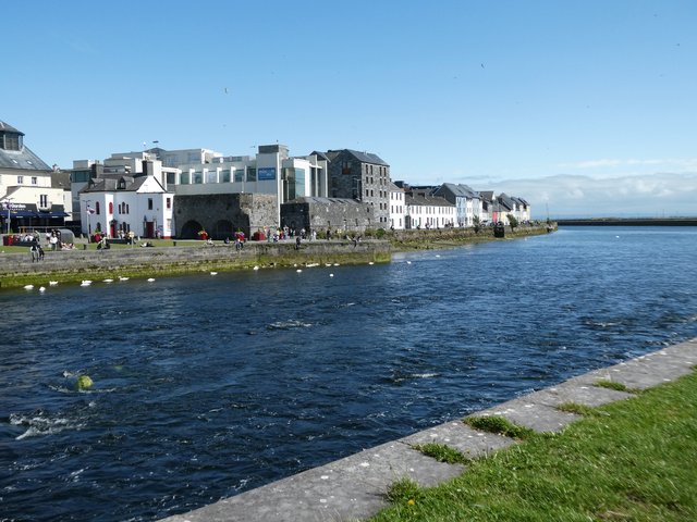 10 días por Irlanda en verano de 2024 - Blogs de Irlanda - DÍA 8 – Abadía Corcomroe – Castillo Dunguaire - Galway (26)