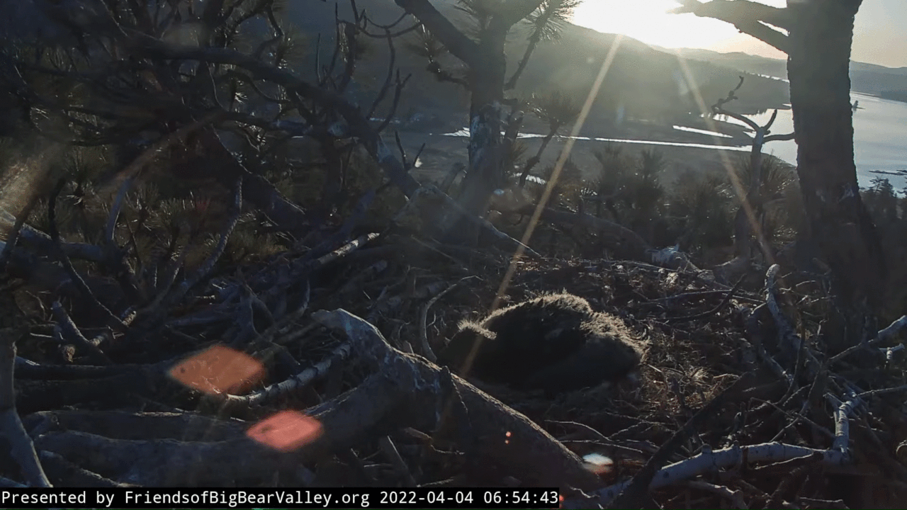 Webp.net-gifmaker (1)