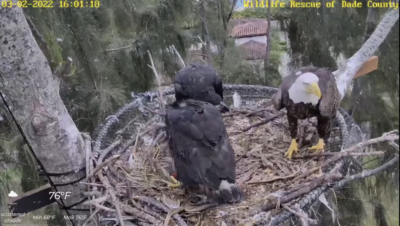 D781937B-F12B-4658-BCBF-2D396C641F09