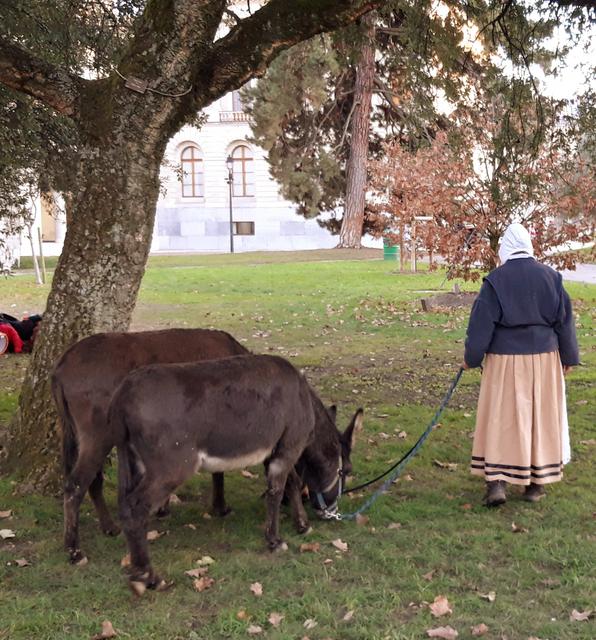 ALSACIA EN NAVIDAD Y MONTREUX CON PAPÁ NOEL - Blogs de Europa Central - 7 Dic: Adios Montreux, hola Ginebra! (23)