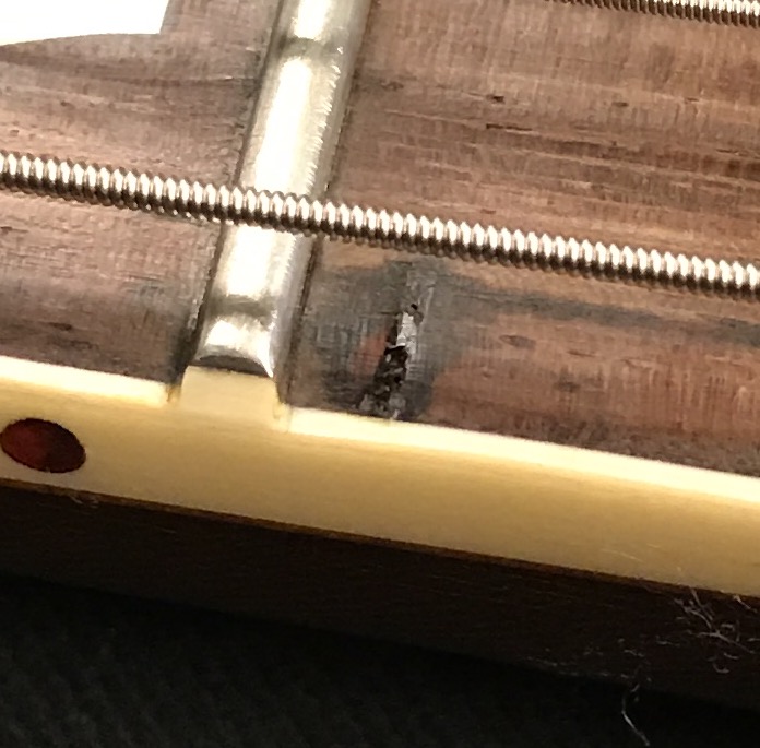 Full_Size_Render5 (1)