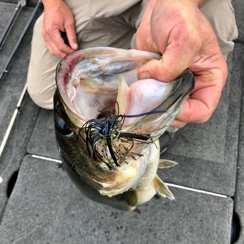 79870112_1717773551693147_8336290247453179904_o