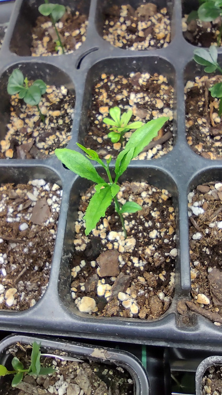 IMG_20240329_202222058_HDR