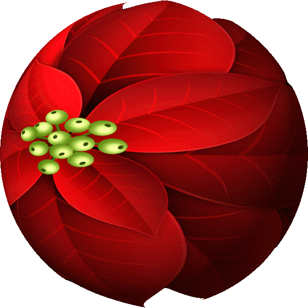 christmas poinsettia