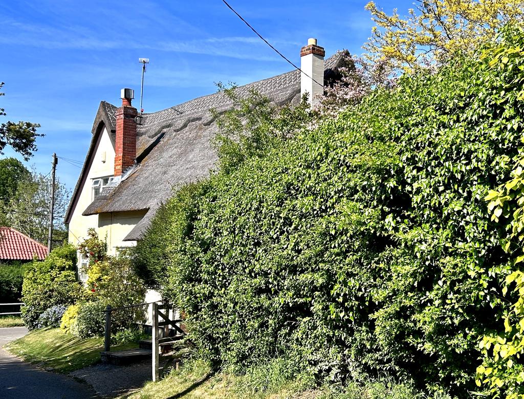 Пёстрая лента. Путешествие по сельским дорогам Англии в мае 2025 г.