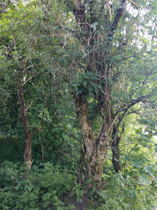 14ADCE46-B4AD-4837-AB81-007696BACF2F