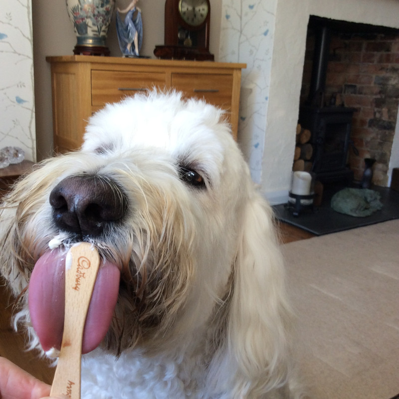 8F85E822-815D-4A00-8F91-6A242E8B7049