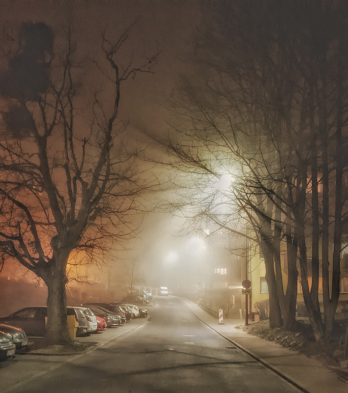 PXL_20220315_201042178-01-01