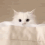 https://i.postimg.cc/XJXGLdLK/ezgif-1-99aff8c954.gif