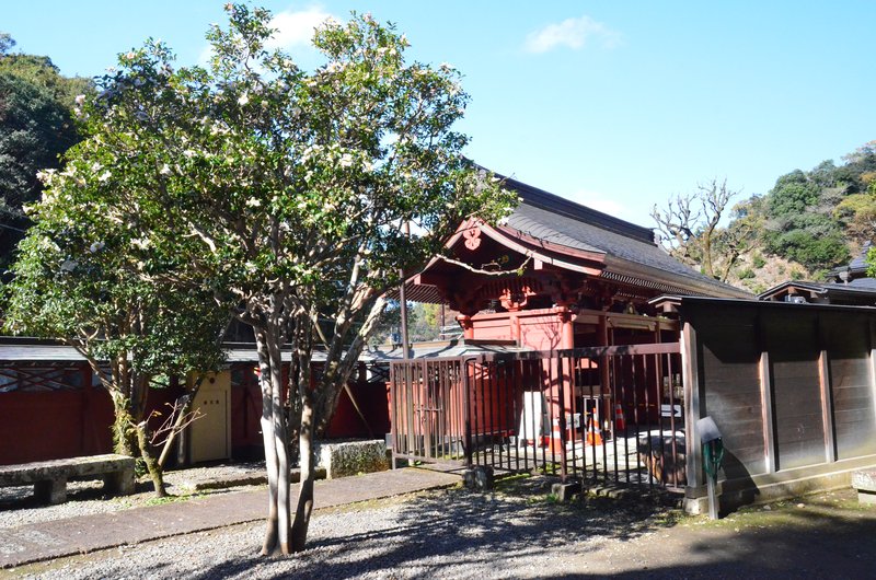 Japón y sus Pueblos-2024 - Blogs de Japon - Heiwa Kannon y Templo Ooyaji-13-11-2024 (38)