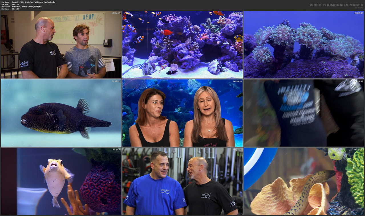 Tanked S15E04 Urijah Faber's Ultimate Fish Tank.mkv