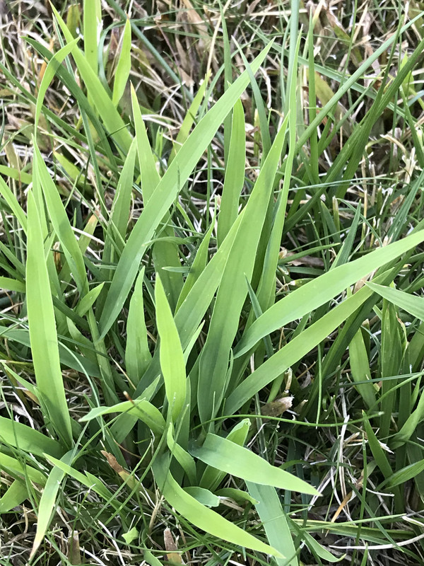 B740C426-8A59-4BB5-9732-817A8B3397E0