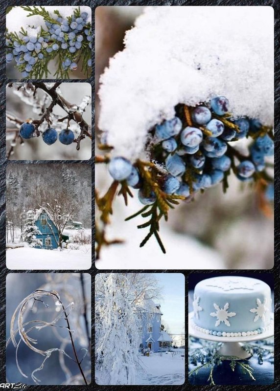 c38318722c67a4bbf37ea27b4881d327