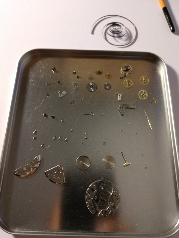 IMG_20190504_184834454