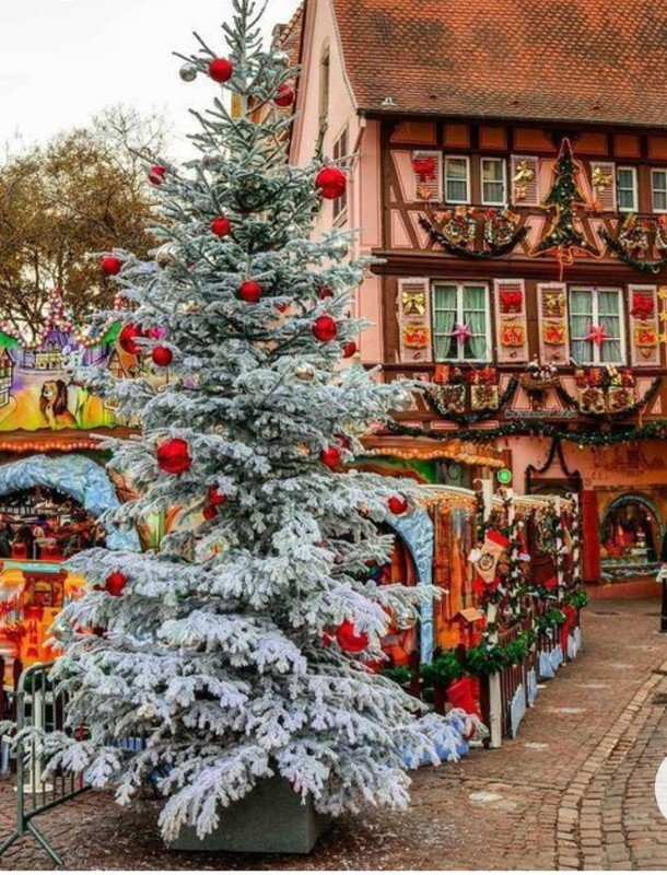 Screenshot_20221215-232843_Chrome