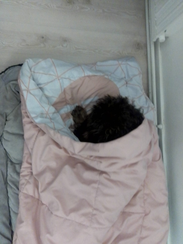 [Image: IMG-20240107-WA0008.jpg]