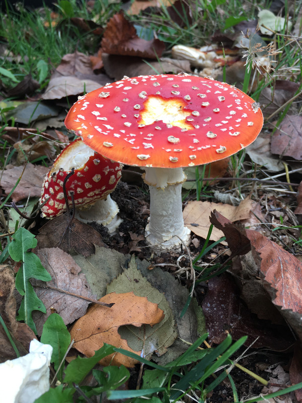 94670338-16E6-481B-AC66-EF8FAA07E012