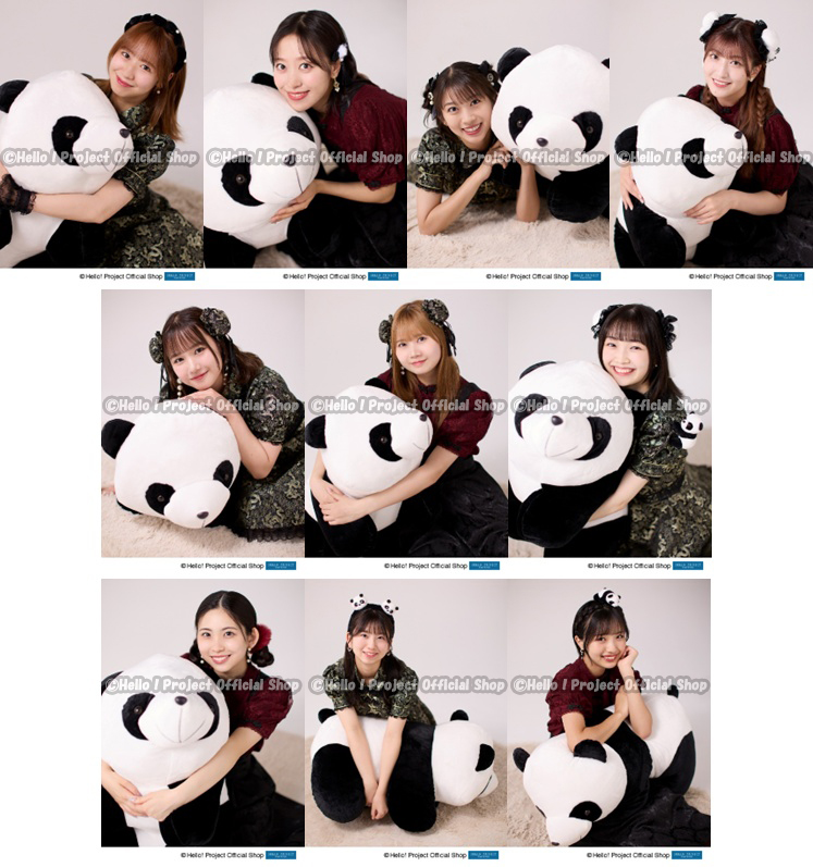 08994bf375cebd2dbad673a86642a0b3