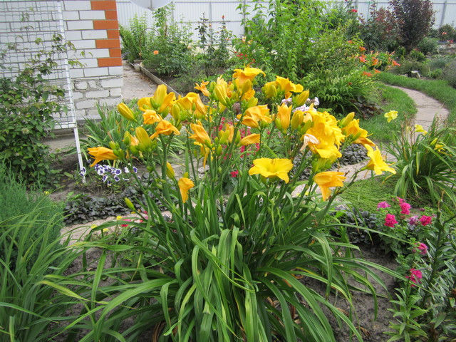 IMG_1409[1]