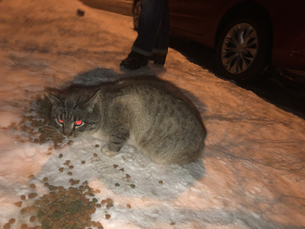 F9285AA4-575A-40E6-924E-4F3D76A5DDF6