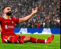 Whats App Image 2026 03 28 At 21 04 48