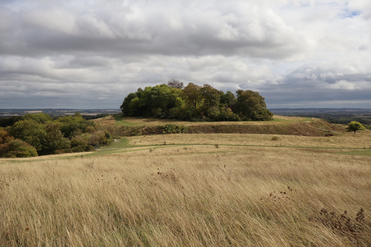 Castle Hill an Iron Age hillfort that is one of the Wittenham Clumps hills