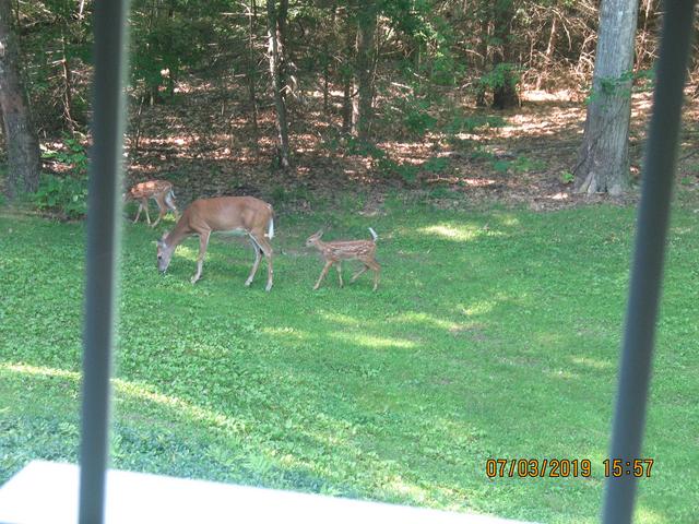 IMG-2206.jpg
