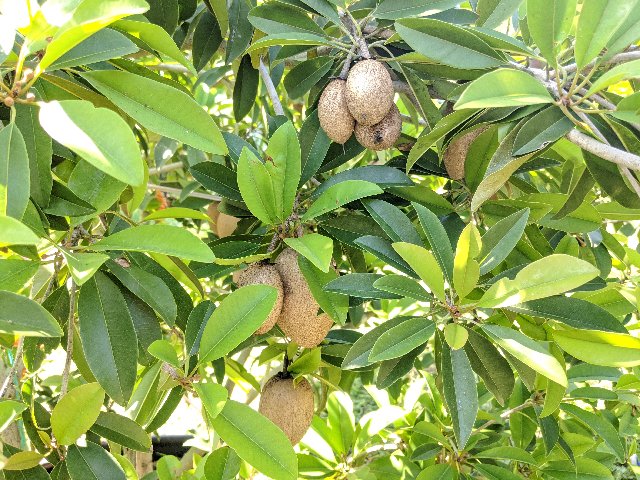 [Image: IMG-20200508-104813.jpg]