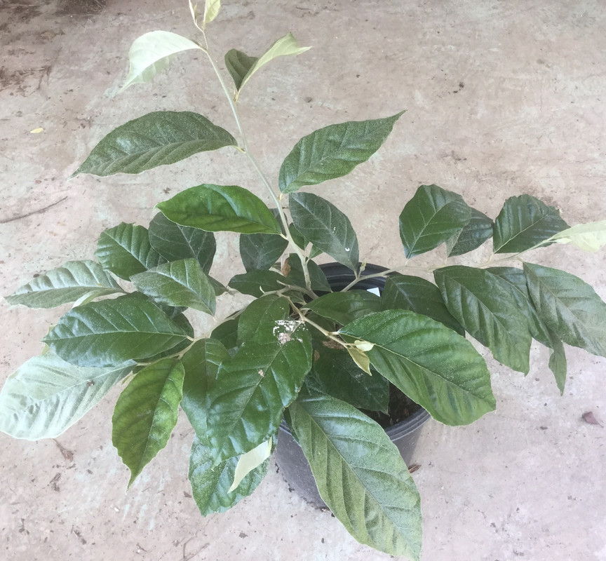 BCC59FAD-74C3-499C-A0F0-55A4DC30CC34