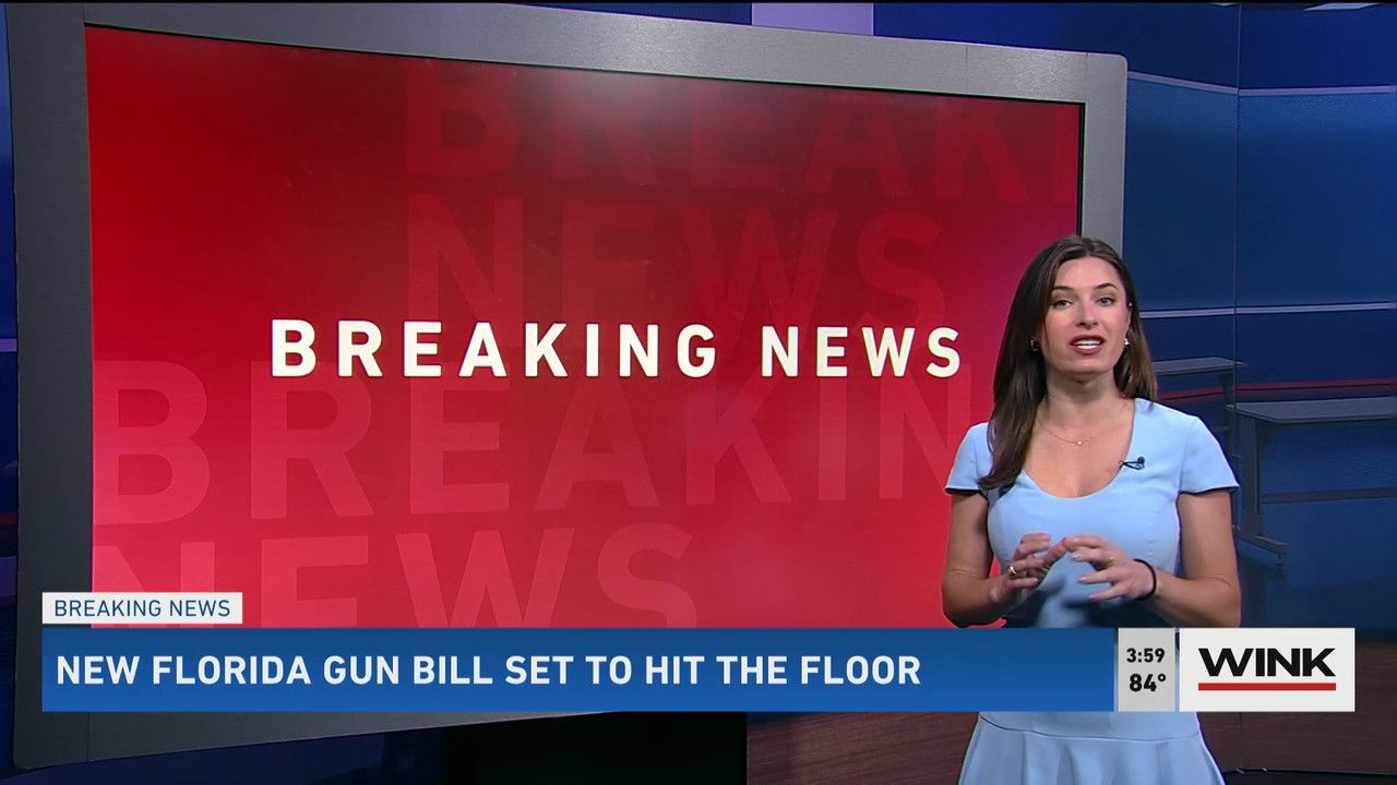 01.31 - 20.00.00 - WINK News at 3pm  ᴺᵉʷ..ts_snapshot_01.06.04.958